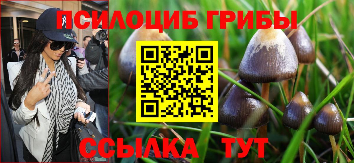 Киров  Псилоцибиновые грибы Magic Shrooms  купить  цена  Вход с VPN  Псилоцибиновые грибы GOLDEN TEACHER 
